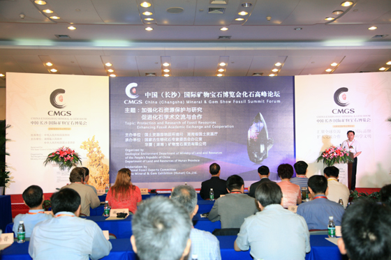 中国(长沙)国际矿物宝石博览会化石高峰论坛